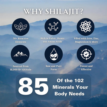 100% Pure Himalayan Shilajit Resin – 30g | Wellness For Men & Women Both